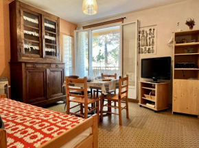 Appartement confortable à 100m de la plage d'Argelès-sur-Mer, balcon, 4 couchages, TV, proche commerces - FR-1-225-673